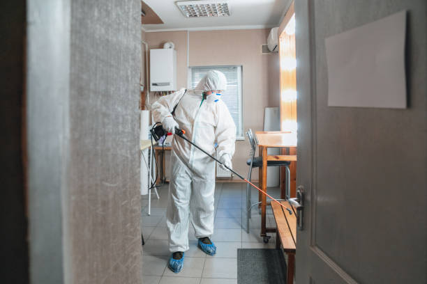 Best Industrial Mold Remediation  in Bluffdale, UT