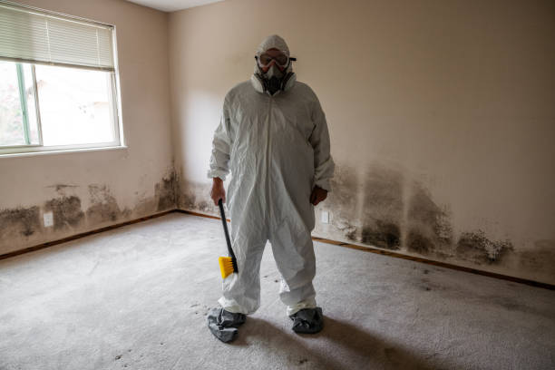 Best Mold Odor Removal Services  in Bluffdale, UT